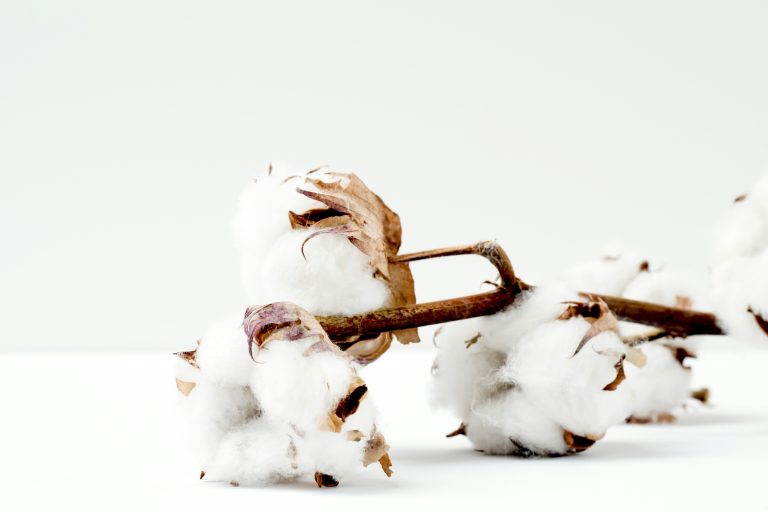 marianne-krohn-RNqZbnBnMQk-unsplash